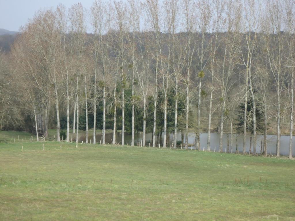 7 , Le Haut Montraye Pacé Exterior foto